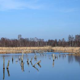 Wittmoor, 2014-03-09