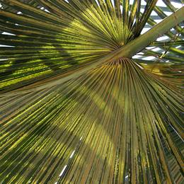 Bantayan Island, 2009-12-21