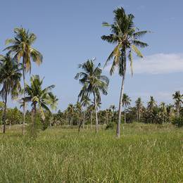 Malapascua Island, 2009-12-24
