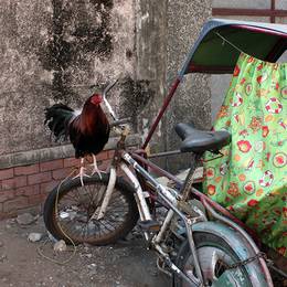 City of Manila, 2009-12-17