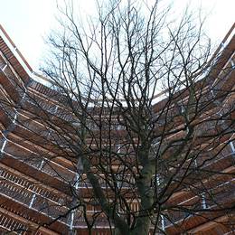 National Heritage Center, 2014-03-23