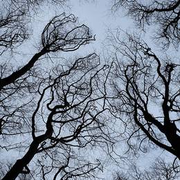 King's Chair, 2014-03-26