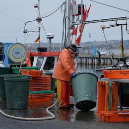 Thiessow, 2014-03-28