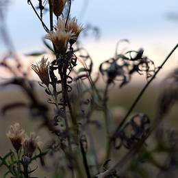 Nanshan Eco Park, Chifeng, 2014-09-16
